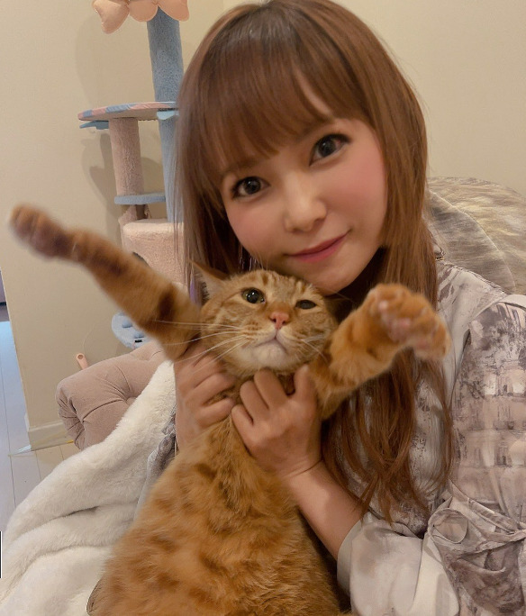中川翔子とネコの画像