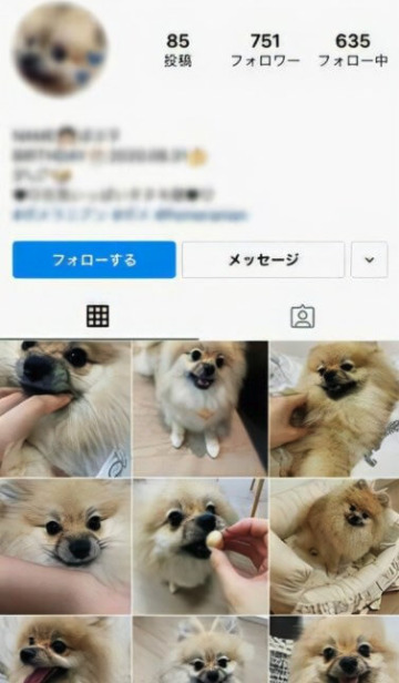 浜辺美波の裏垢とされるインスタの画像