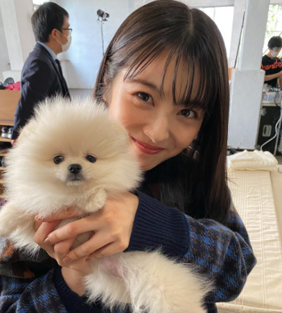 浜辺美波と愛犬の画像