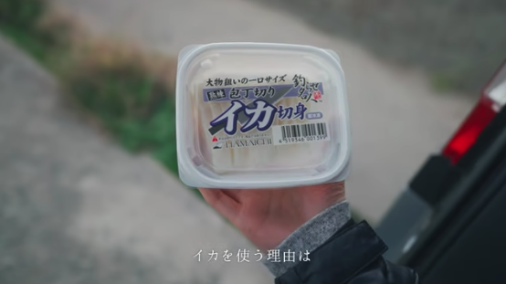イカの画像