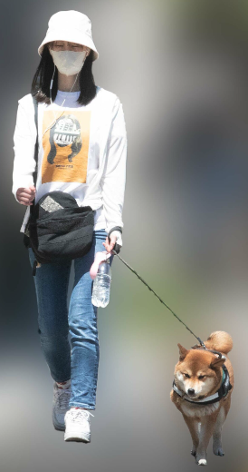 愛犬を散歩する松井玲奈の画像
