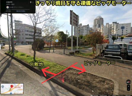 除草剤でかれるビッグモーター前画像
