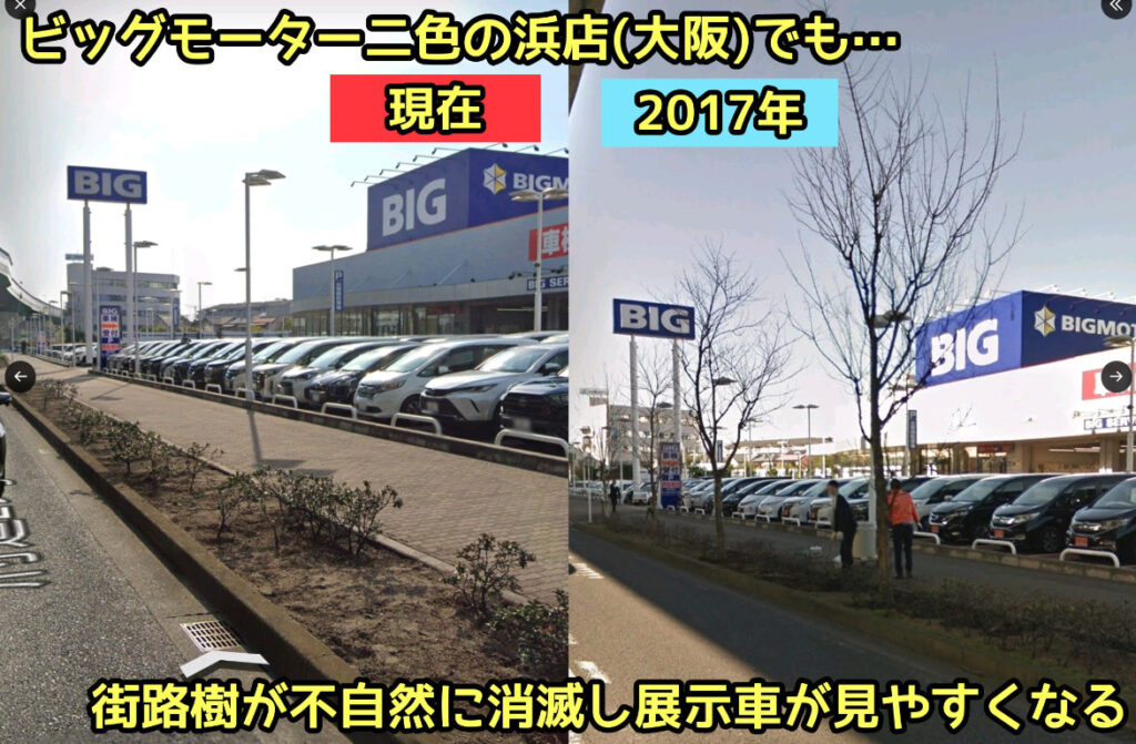 除草剤でかれるビッグモーター前画像