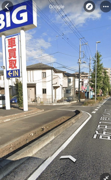 除草剤でかれるビッグモーター前画像