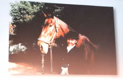 馬術部時代の木村佳乃の画像