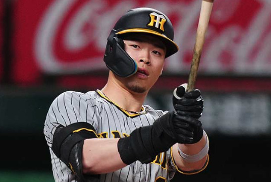 佐藤輝明の画像